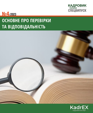 Основне про перевірки та відповідальність (№ 4/2023)